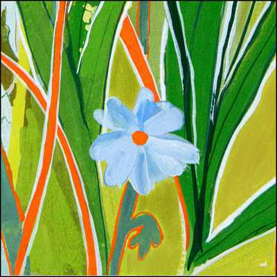 Set The Record Straight